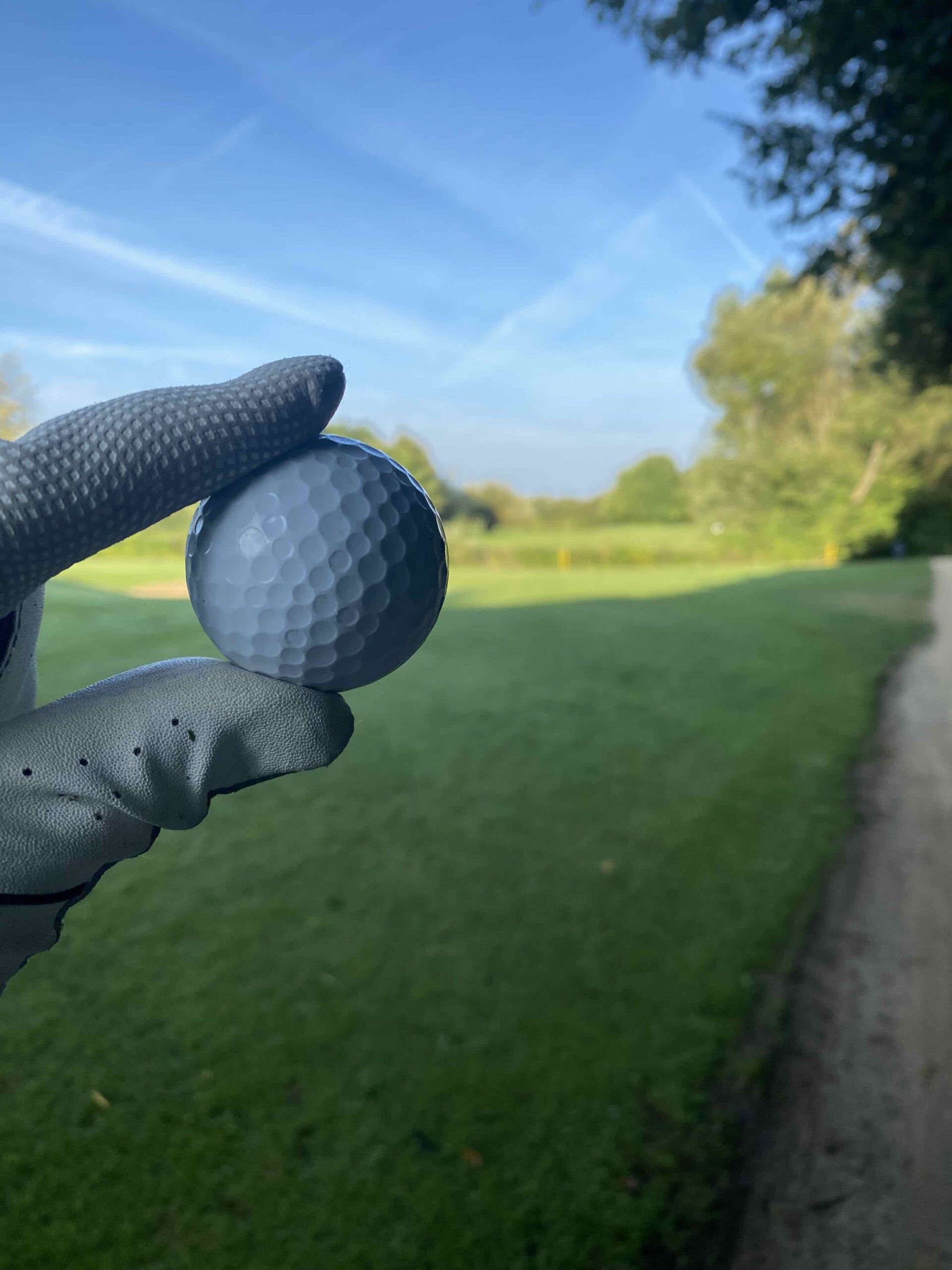 Golfball in behandschuhter Hand vor dem Green